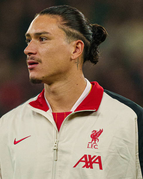 自身实力的 自身实力的