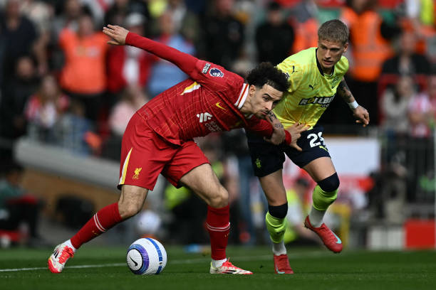 这些生物突 这些生物突