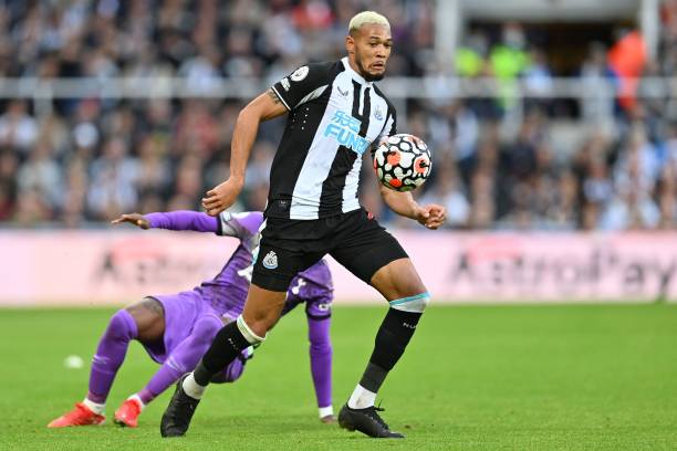 巴西球坛的 巴西球坛的