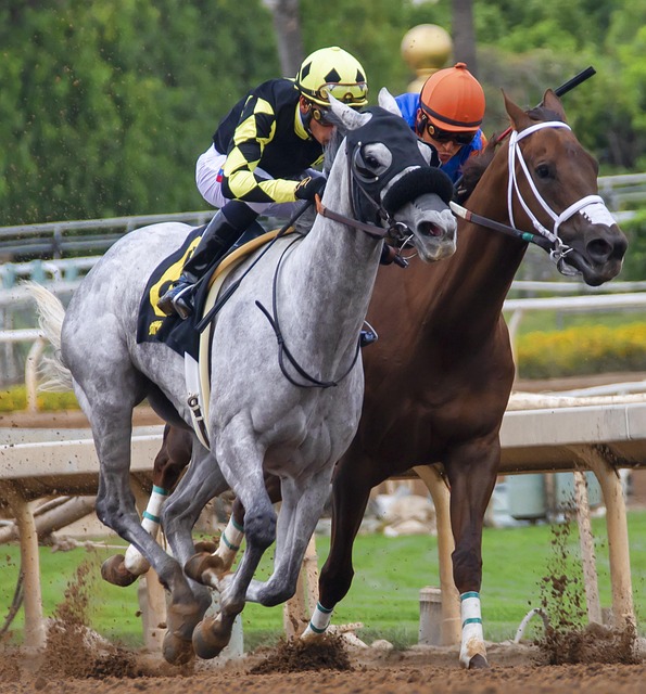 哪些变化 哪些变化